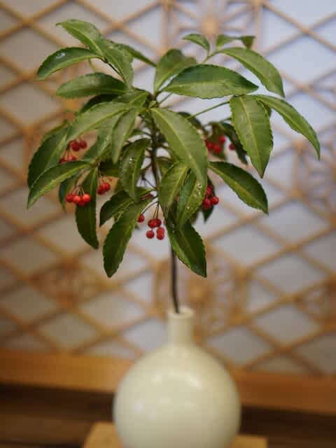 千両 万両 南天 縁起物の花の見分け方 愛媛で健康にこだわった家を建てる 千両 万両 南天 縁起物の花の見分け方 愛媛で健康にこだわった家を建てる