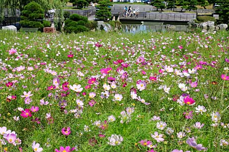 葛西臨海公園 大観覧車 きゃおきゃおの庭 葛西臨海公園 大観覧車 きゃおきゃおの庭