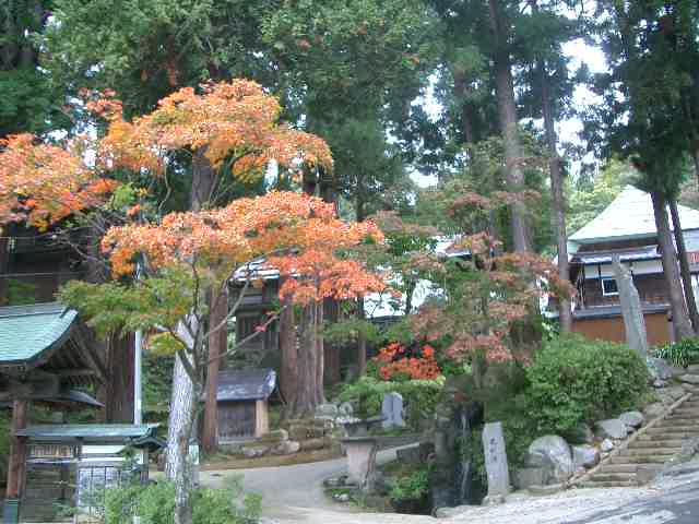 「６　境内の紅葉」 