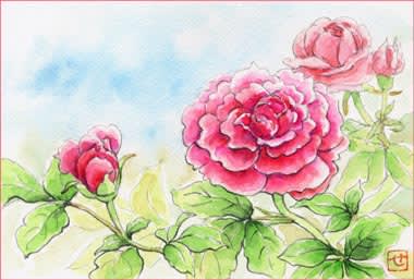 つくばバラ園のバラ おさんぽスケッチ にじいろアトリエ 水彩 色鉛筆イラスト スケッチ