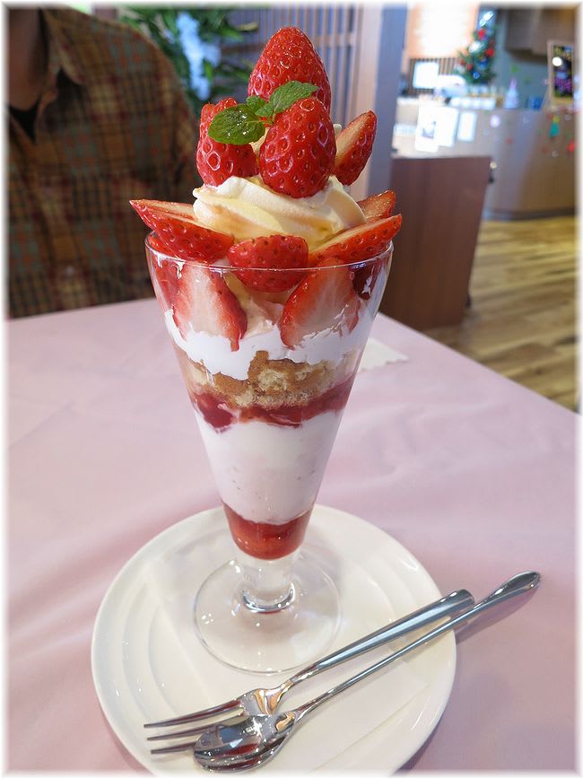 発酵美人カフェ さくら In 高岡 卯月の日常