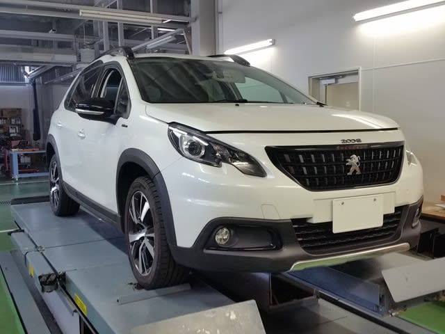 20190602_101255.jpg