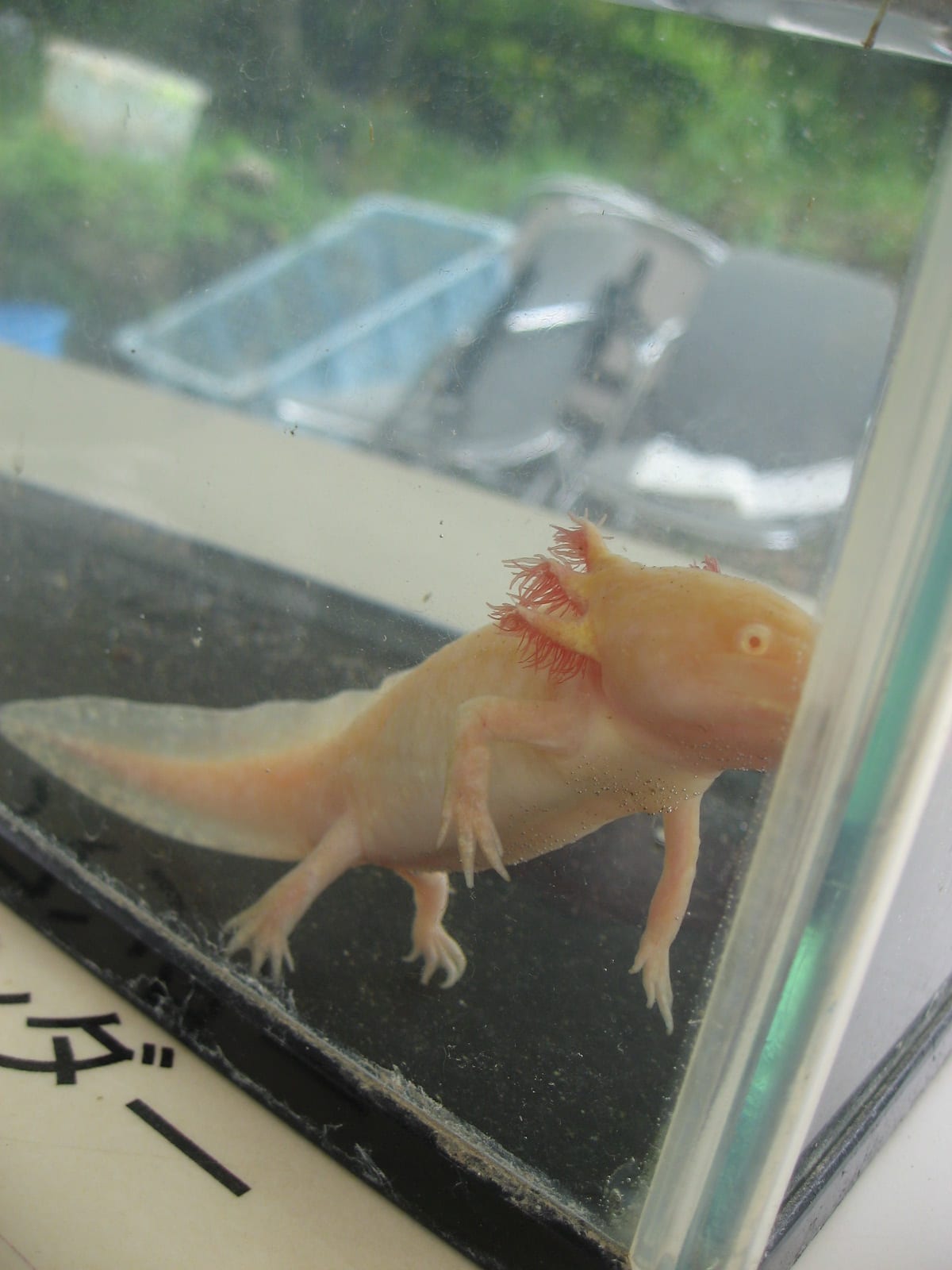 ｉ ｌｏｖｅ ｎａｔｕｒｅ 48ページ目