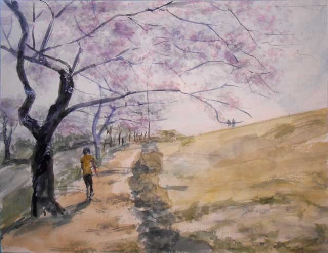 多摩川堤の桜