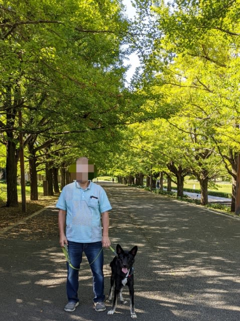 はじめての昭和記念公園散歩 いっしょに歩こう はじめての昭和記念公園散歩 いっしょに歩こう