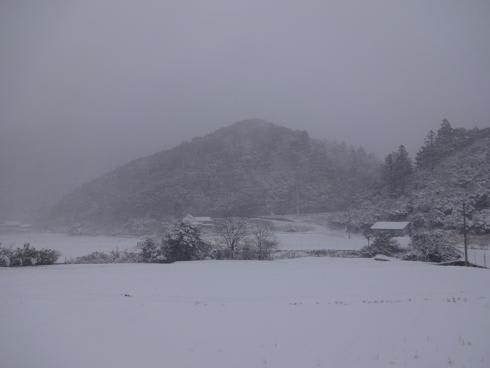 雪の大谷 | タンちゃん♪の部屋(*^_^*) - 楽天ブログ