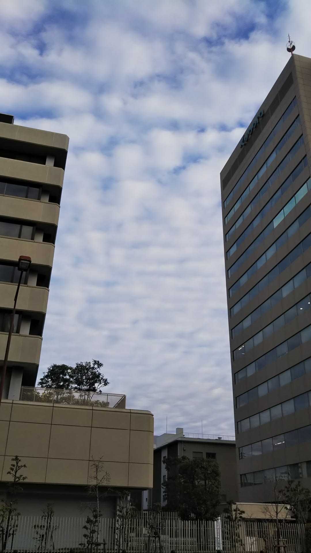本日大阪浪速区クボタ本社上空超けったいな雲 しーらんでしーらんで何が起こってもしーらんで ハッカー伝言板改めえむびーまんの日記帳 山本隆雄ブログ