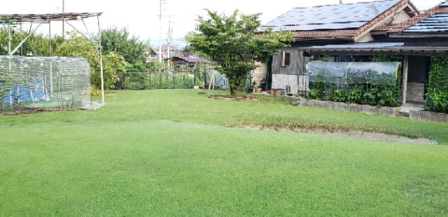 夕方からの芝刈りで イイダアックス 相談役日記 夕方からの芝刈りで イイダアックス 相談役日記
