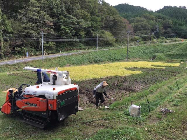 やっと終わりとなりました 稲刈り作業 これで新米が食べられます たっきーブログ