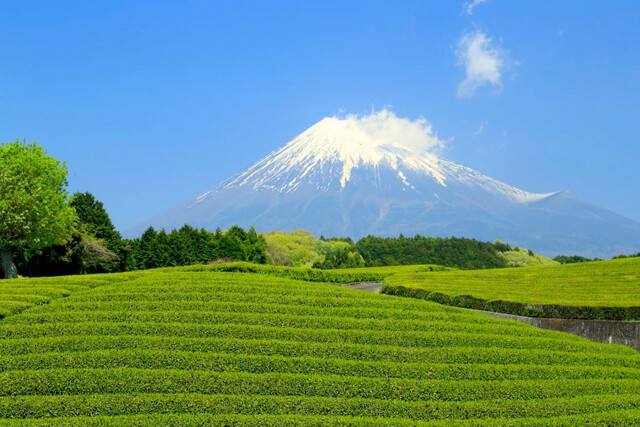 今年(2025) は 2月3日が「立春」、その前日(2/2) が「節分」。よって、”節分” の巷話。 吉澤兄一のブログ