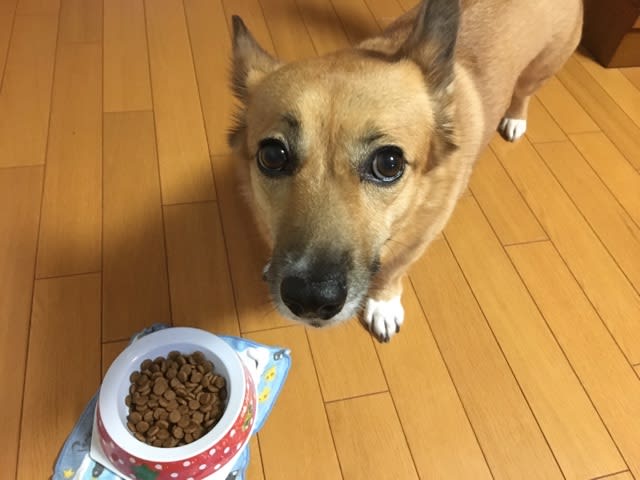 あ なんか面白い顔 rinといっしょ あ なんか面白い顔 rinといっしょ