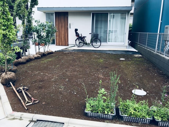 西東京市の庭づくり ふわりのにちにち 造園家 野草家の武蔵野の山野草と雑木の庭づくり