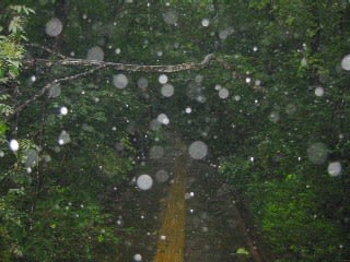 雨が吹き付けてきます。