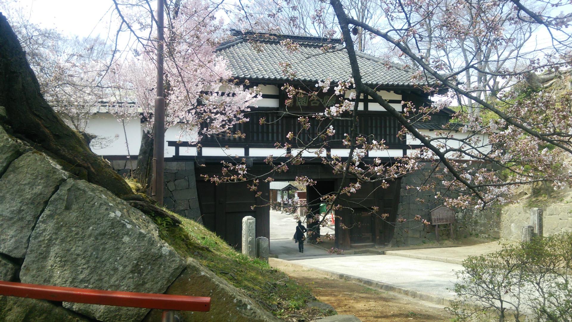 16 04 09 小諸城址 懐古園 の桜開花 アマチュア無線局 Jh0fhb 16 04 09 小諸城址 懐古園 の桜開花 アマチュア無線局 Jh0fhb