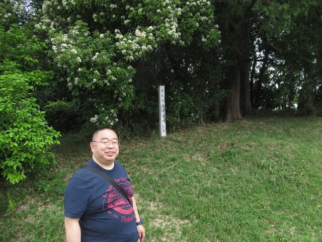 天皇陵巡りと宝来温泉【ときたま日記】