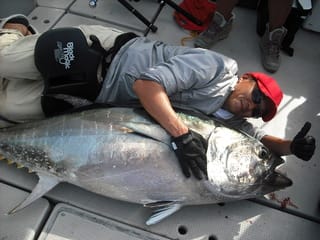 竜飛崎マグロ 青森県金太郎丸 真鯛釣り マグロ釣り遊漁船 釣り船