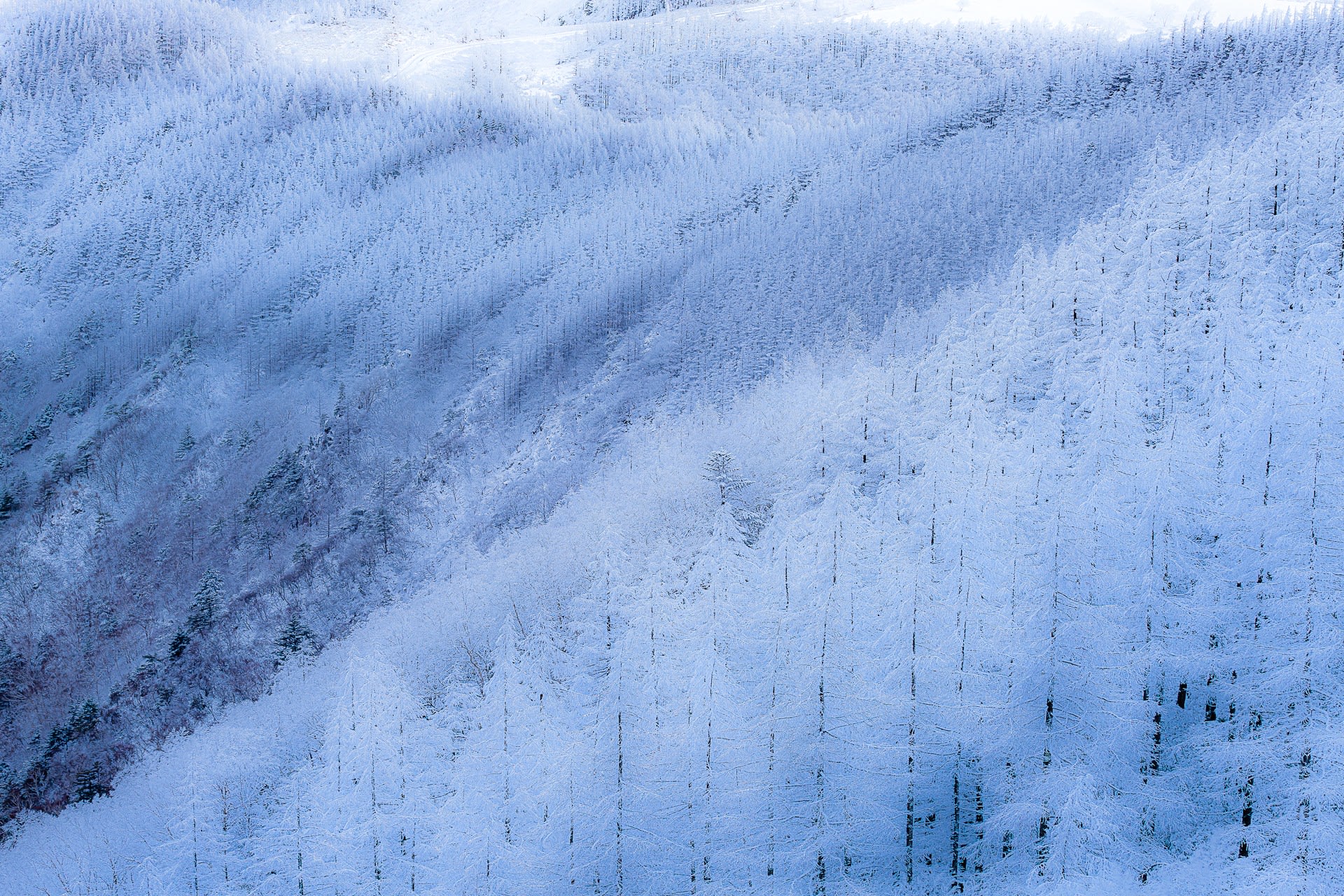 美ヶ原高原の雪景色の写真