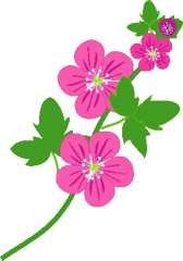 携帯ｑｒコードをパチリで天気予報サイトに繋がりました 念願でした Yosigamo Sakura の いけ花ガーデニング 緑 風 陽 と 花 イラスト