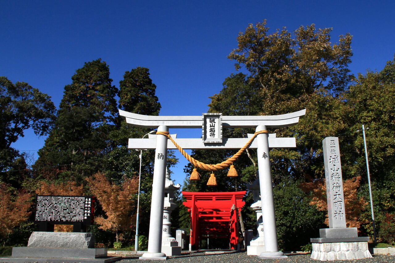 比較写真の画像