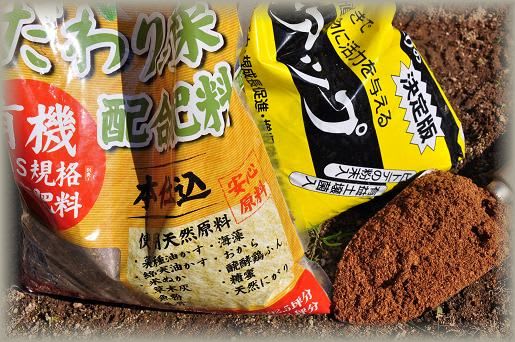 追肥 2009年1月4日