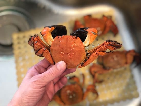 初めての モズクガニ まき子の酒