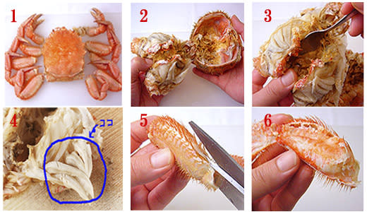 方 毛蟹 の 食べ 簡単な毛ガニの食べ方
