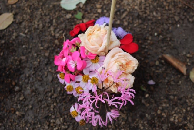 土まんじゅうの ケーキ ポニョちゃんとキナコちゃん 時々薔薇と猫