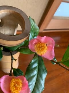 椿の 炉開き 茶の湯 徒然日記