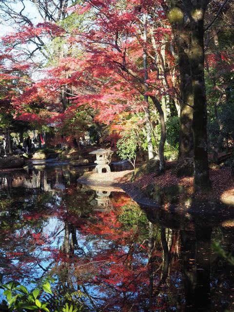 岐阜公園 紅葉 真っ盛り 長良川温泉 ホテルパーク