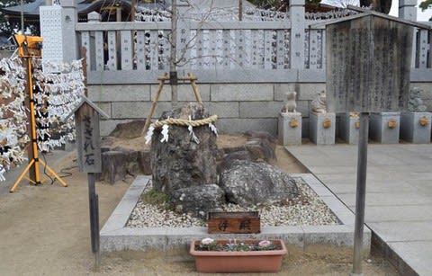 番外 赤穂大石神社 さざれ石 あなた知ってる 広島