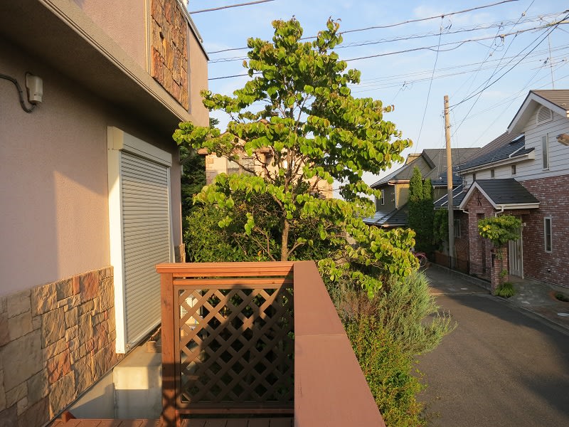 暑いですね～　8:35 pmの画像