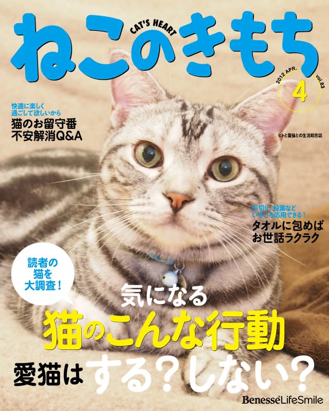 愛猫がねこのきもちの表紙になりました・・・・なんちゃって 