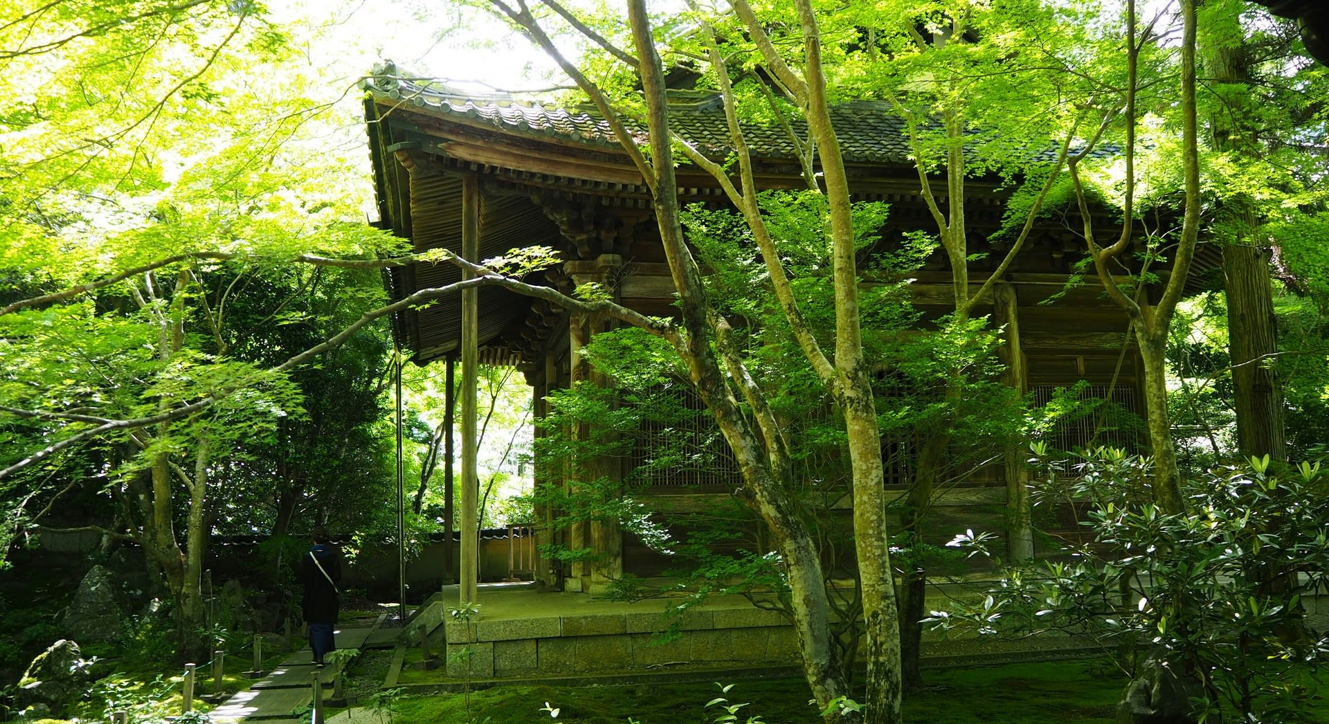 木下順庵 Kinoshita Jun'an JapaneseClass.jp