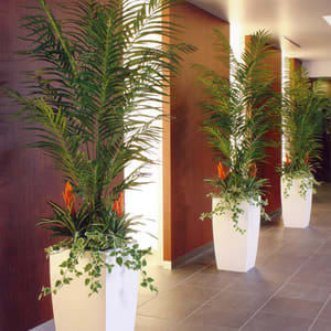 南国 ハワイアン トロピカルスタイル 人工観葉植物 フェイクグリーン