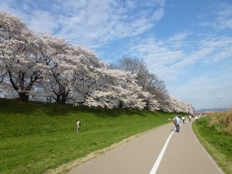 P1140723_r