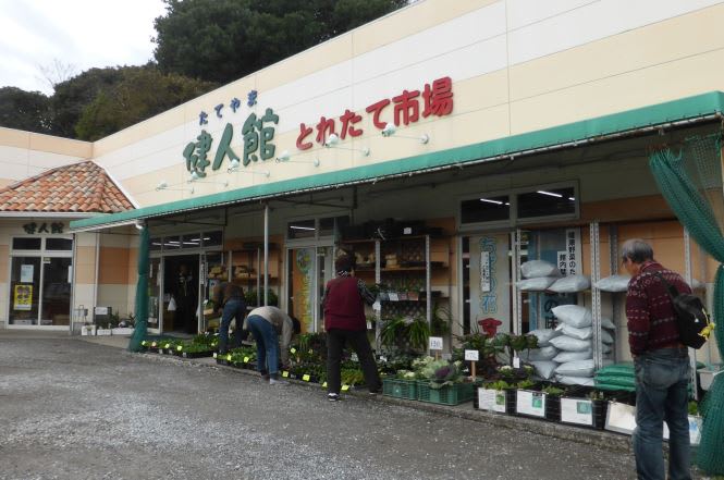 た て 市場 とれ 横浜・仲町台に冷凍食品専門店「トーミン・フローズン」“凍眠市場”とれたて・出来立ての美味しさを
