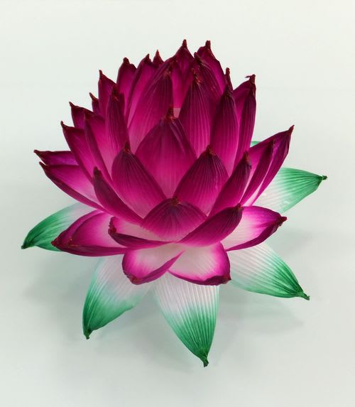 蓮の花 - TAMOA韓紙工芸同好会