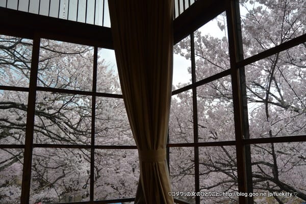 14年桜の名所 高遠閣で高遠蕎麦と桜そば大福 高遠城址公園 コダワリの女のひとりごと 14年桜の名所 高遠閣で高遠蕎麦と桜そば大福 高遠城址公園 コダワリの女のひとりごと