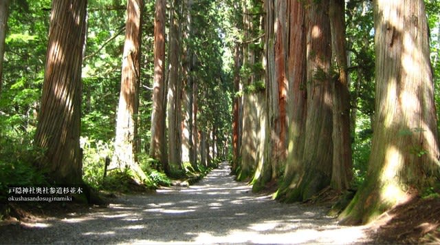 戸隠神社に善光寺 それと御線香のお母さん 花咲あさひ の 心神とともに 古神道と和の仕組の復活への道