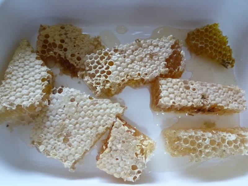 巣蜜が採れました - ニホンミツバチの四季