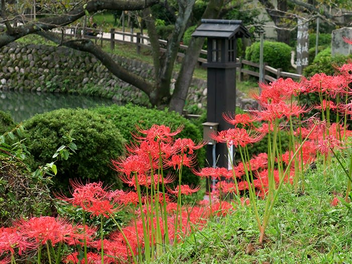 彼岸花咲く鹿野城下で山中鹿之助の墓参り In 鳥取 鳥取市鹿野町 続 旅するデジカメ 我が人生