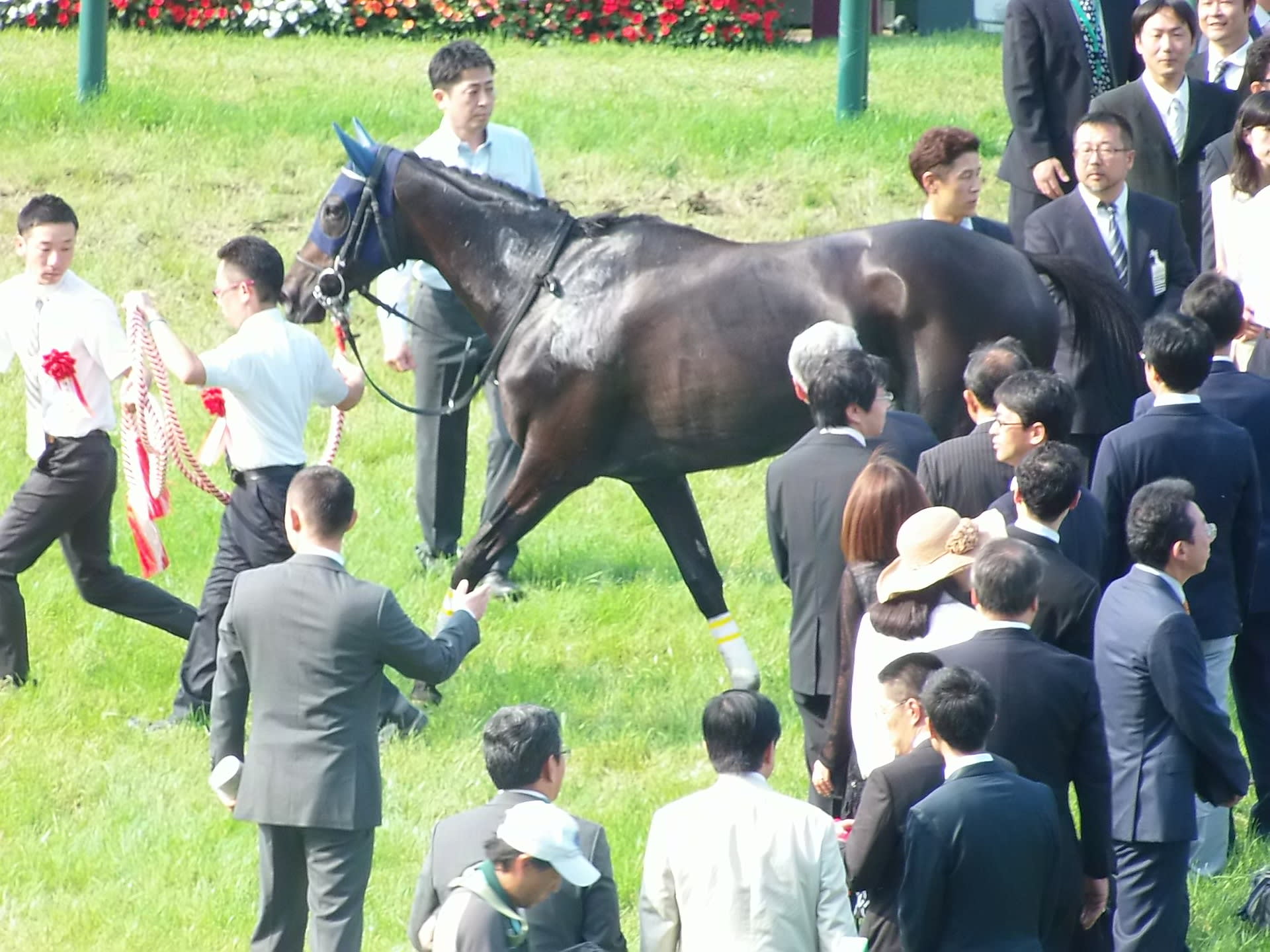 宝塚記念16回顧 阪神競馬場人大杉 ７万３１１９人入場 ドゥラメンテはハ行 公営競技はどこへ行く