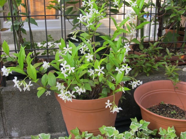 イメージ 5