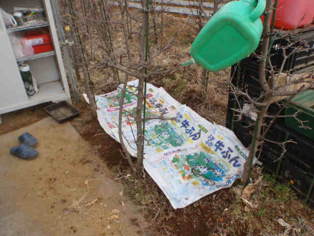 支柱置き場 私 Mori の畑日記