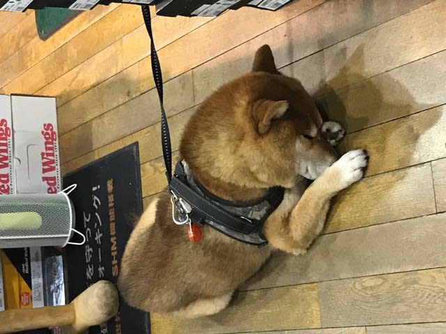 神田大喜靴店の顧客の皆さまへのご連絡です 神田大喜靴店