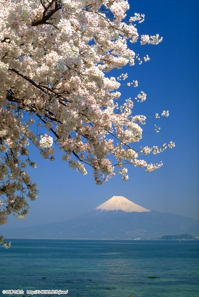 https://blogimg.goo.ne.jp/user_image/07/47/57bc5e006fd1606c0f9cf12bcf17c689.jpg