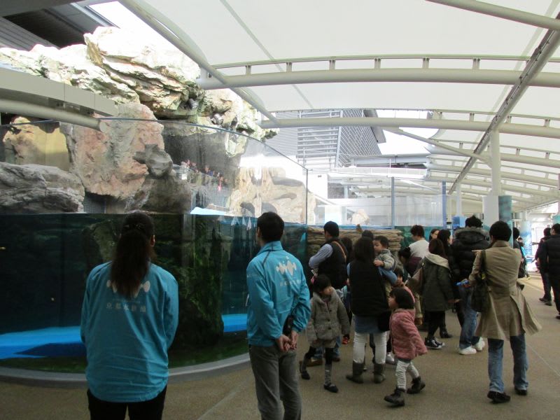 Img_1511_800 Img_1511_800