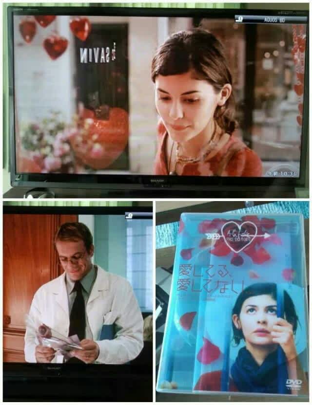 ｄｖｄ のブログ記事一覧 遥香さんとケチ夫くん