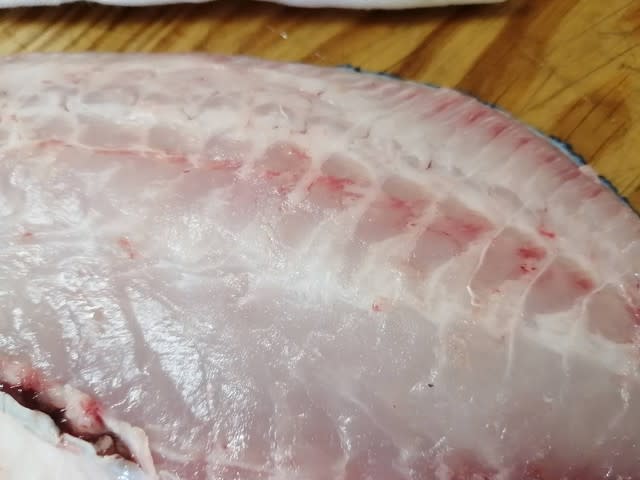 イシガキダイの刺身 俺 隠岐に立つ