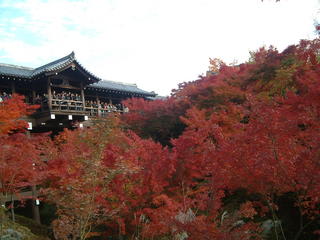 京都散策　東福寺の紅葉 - コダワリの女のひとりごと(Minettyの旅とグルメ）